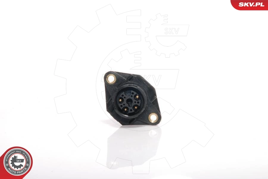 Mass Air Flow Sensor